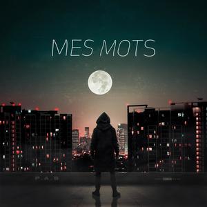 MES MOTS
