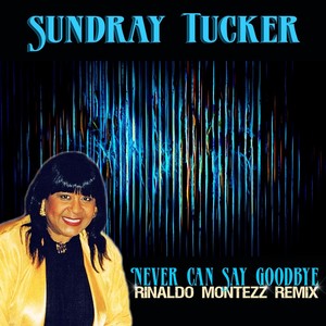 Never Can Say Goodbye (Rinaldo Montezz Remix)