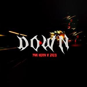 DOWN (feat. Zicoo)