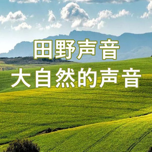 春涧雀歌 山鸟啾啾-小婉FM