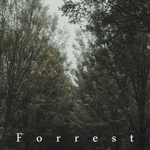 Forrest