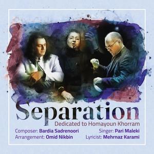 Separation (feat. Pari Maleki & Omid Nik bin) [Explicit]