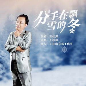 分手在飘雪的冬