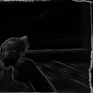 Money magnet (Explicit)