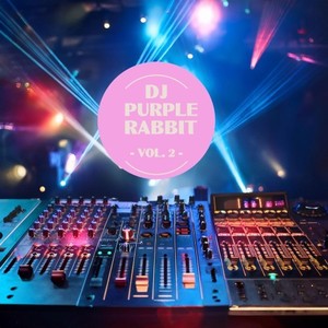 DJ Purple Rabbit, Vol. 2