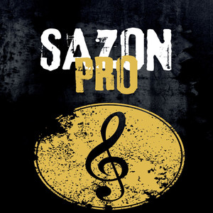 Sazon Pro