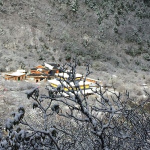 文文吹给阿姝的彩虹屁 (Demo)