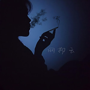 网抑云封面