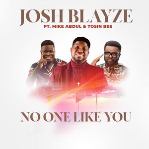 NO ONE LIKE YOU(feat. Mike Abdul & Tosin Bee) (Remix)