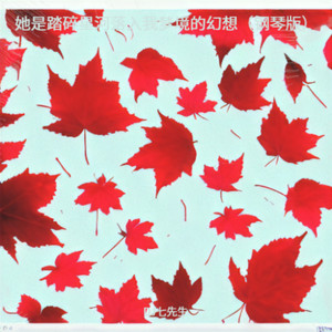 DJ七先生 - 她是踏碎星河落入我梦境的幻想 (钢琴版)