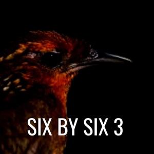 Six by Six 3