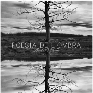 Poesía de l'ombra