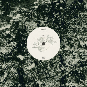 guitar meditations (V)