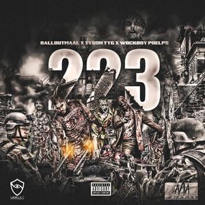 223 (feat. Tyson TYG & WOCKBOY.PHELPS) (Explicit)