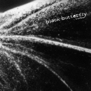 Black Butterfly