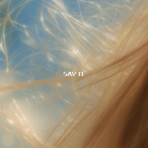 SAY IT (Instrumental)