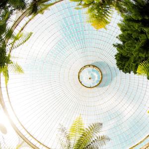 Glow (feat. DARA DUBH)