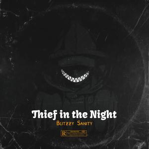 Thief In The Night (feat. Sanity) [Explicit]