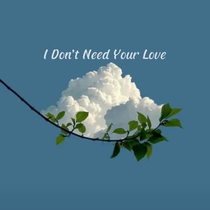 I Don't Need Your Love (Linkran remix)