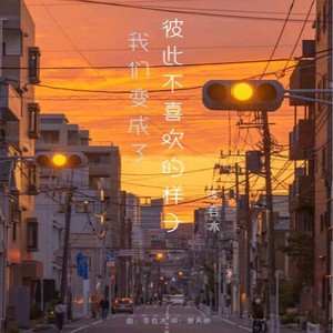 我们变成了彼此不喜欢的样子