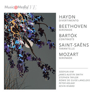 Divertimento in D major, Hob. II:D18 - Divertimento in D major, Hob. II:D18: I. Allegro