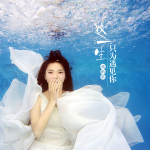 这一生只为遇见你 - 张怡诺封面