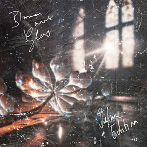 Blumen aus Glas - Demo (Sped Up) (Explicit)