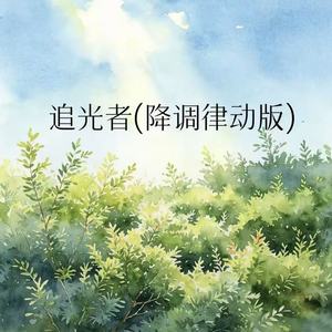 追光者(那段日子确实不错)
