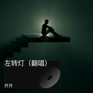 左转灯-开开