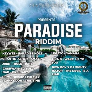 Paradise Riddim