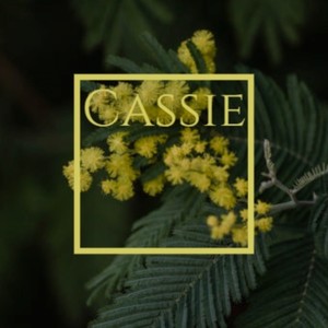 Simply Happy Stinger A