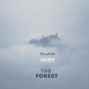 Mist In The Forest