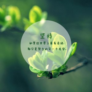 选择坚强