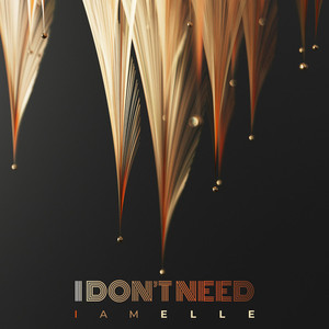 I don't need