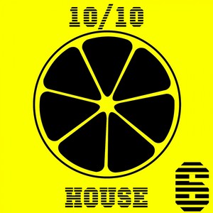 10/10 House, Vol. 6