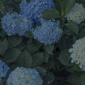 Step to you