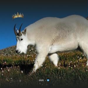 Takealot (feat. Slim Ego)