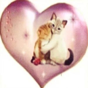 imgladurfineandimnot (Explicit)