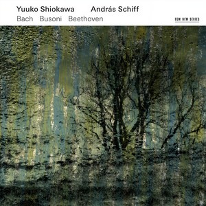 Violin Sonata No. 3 in E Major, BWV 1016 - J.S. Bach: Violin Sonata No. 3 in E Major, BWV 1016: III. Adagio ma non tanto