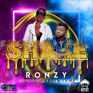 Shake(feat. Akinwunmi)