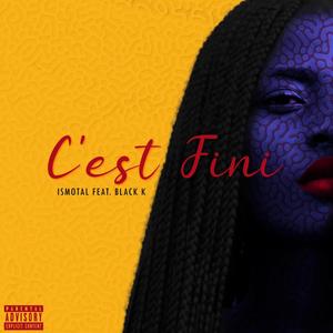 C'EST FINI (feat. Black K)