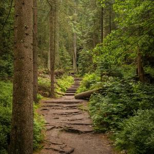 building a home inside this body