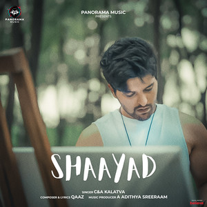 Shaayad