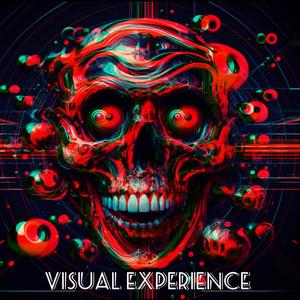 Visual Experience (Explicit)