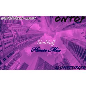 Shonuff (House Mix) (feat. Slumpteirgxd)