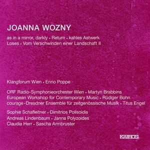Vom Verschwinden einer Landschaft II (2010/2011) (Live)