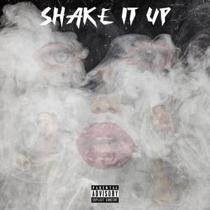 Shake It Up (feat. Rocko) (Explicit)