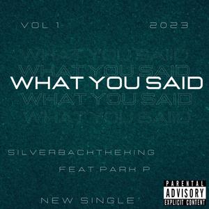 What You Said (Explicit)