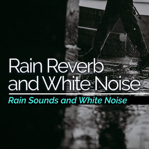 Rain Reverb and White Noise