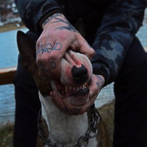 New Start (Explicit)